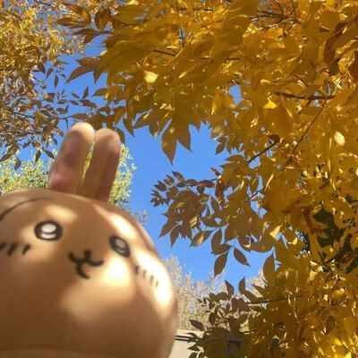 背景图 秋天来了