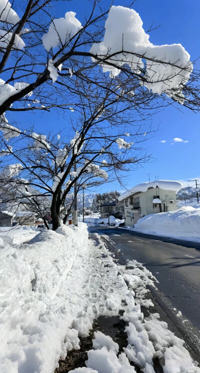背景图