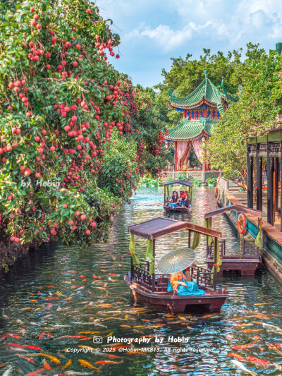 岭南的荔枝，载满盛夏的甜蜜荔枝红时锦鲤跃，惊起一弯彩虹桥，共绘广州荔枝锦鲤图！ 见者好运，大吉大“荔”！
by.@HobinMK813