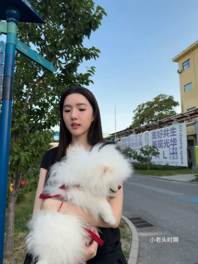 苏晓彤