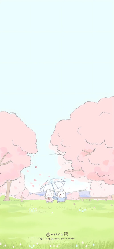 壁纸