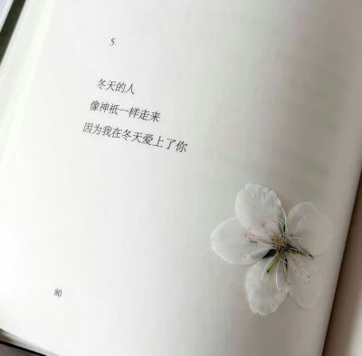 Nan//精选主页图 键盘壁纸 高清微信背景图 INS objects极简 文字 黑白 小众 氛围感 