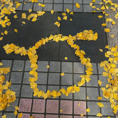 背景图