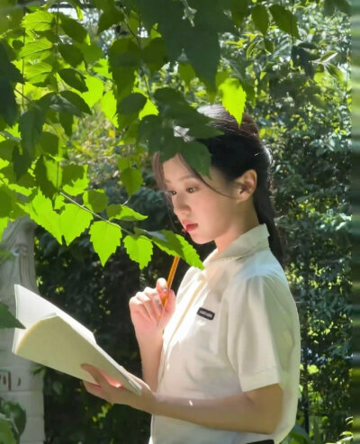 包上恩