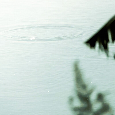 叶凡*
雾不清 竹不青