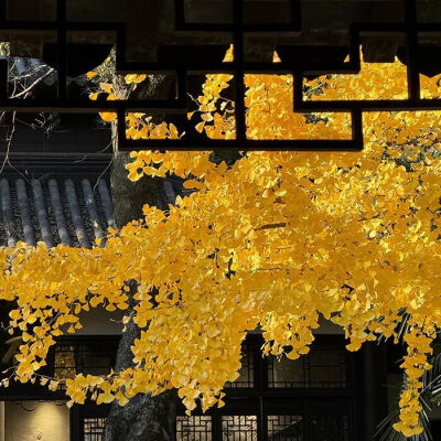 背景图 秋天来啦！
