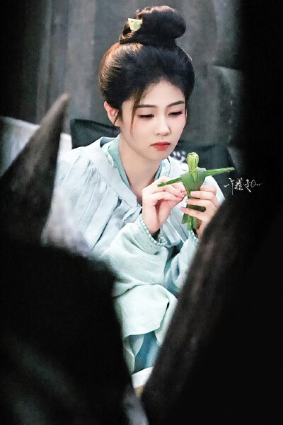 白鹿