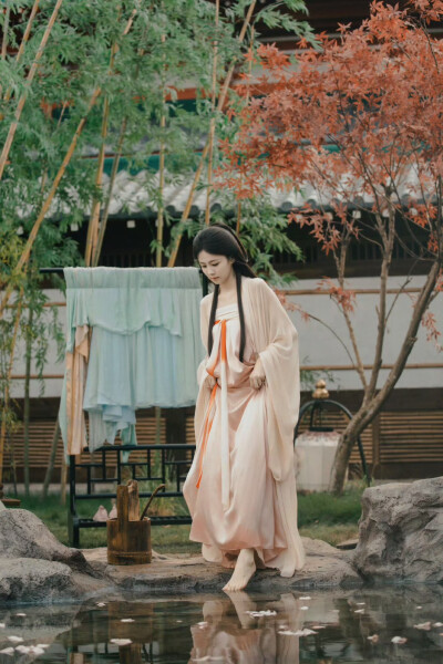 白鹿