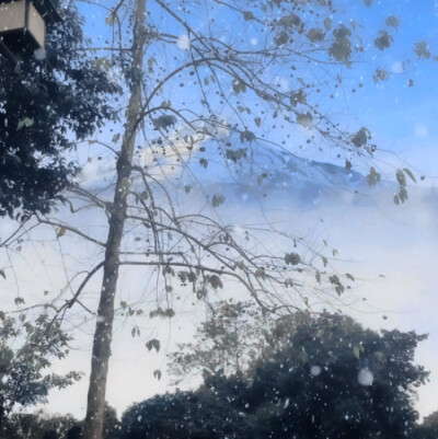 你是我第Ⅲ紀的琥珀淚