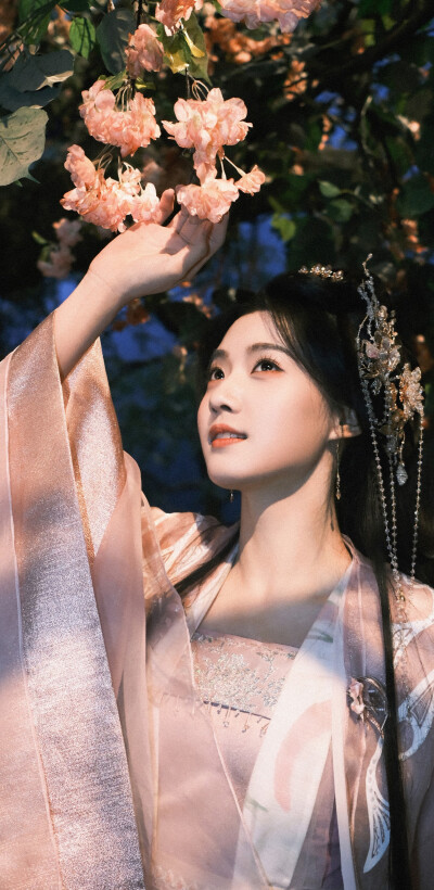 卢昱晓《入青云》明意