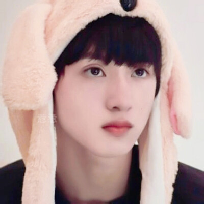 猫(｡í _ ì｡)