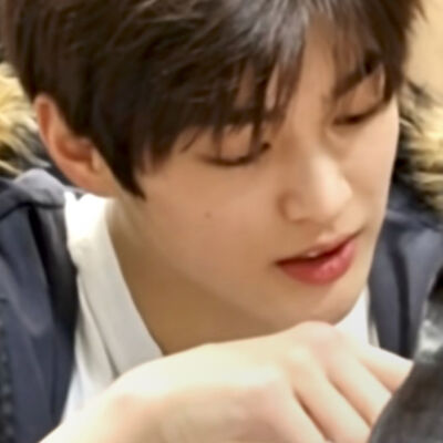 萌狗来袭