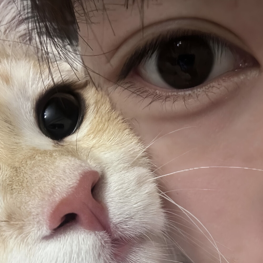 自截头像