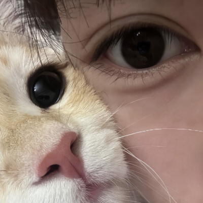 自截头像