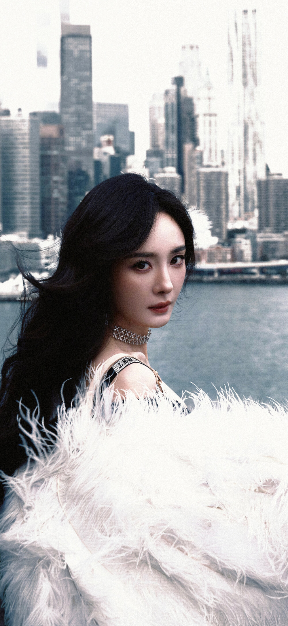 杨幂 壁纸