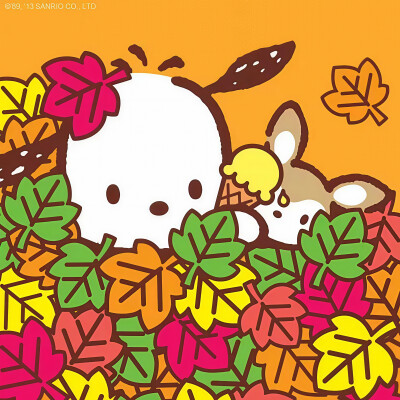 『sanrio帕恰狗』头像▪壁纸