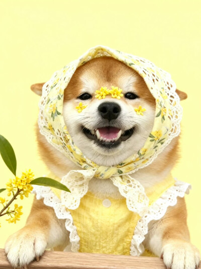 修勾
