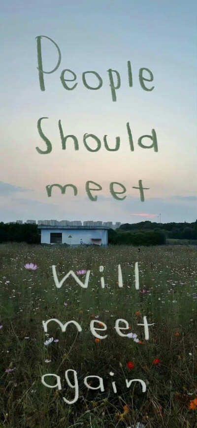 杂