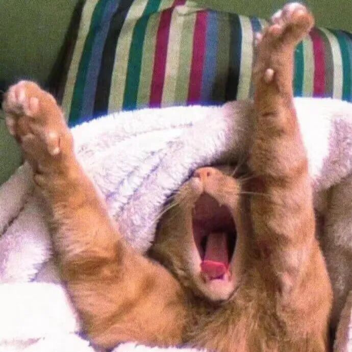 我是不会放弃收集这种图片的