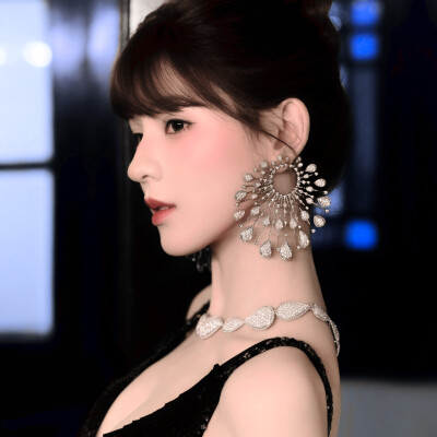 你是我第Ⅲ紀的琥珀淚