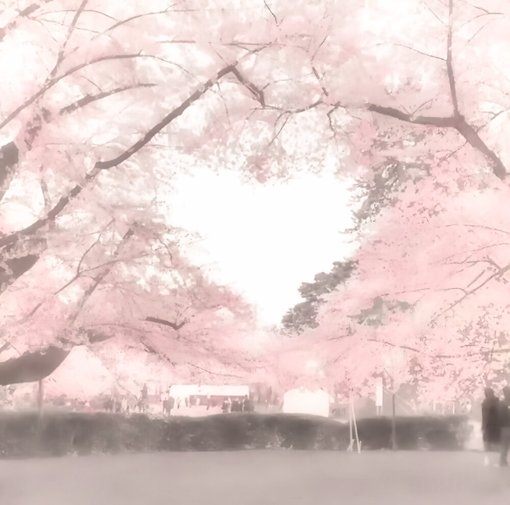 陈文嘉送的！！！超级好看，主播最近小小回归一下，会补赞补收藏的哈