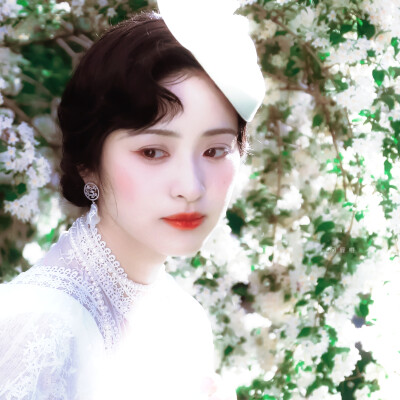 沈月