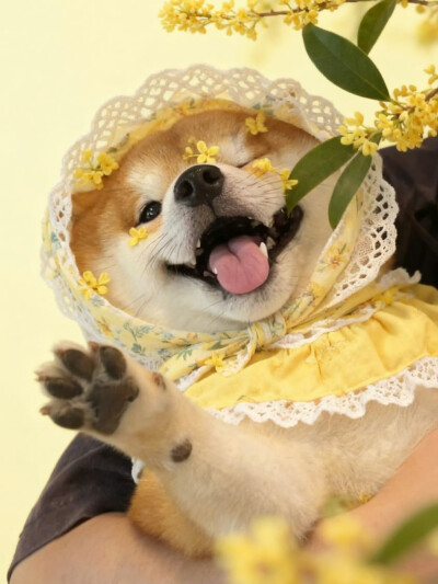 修勾