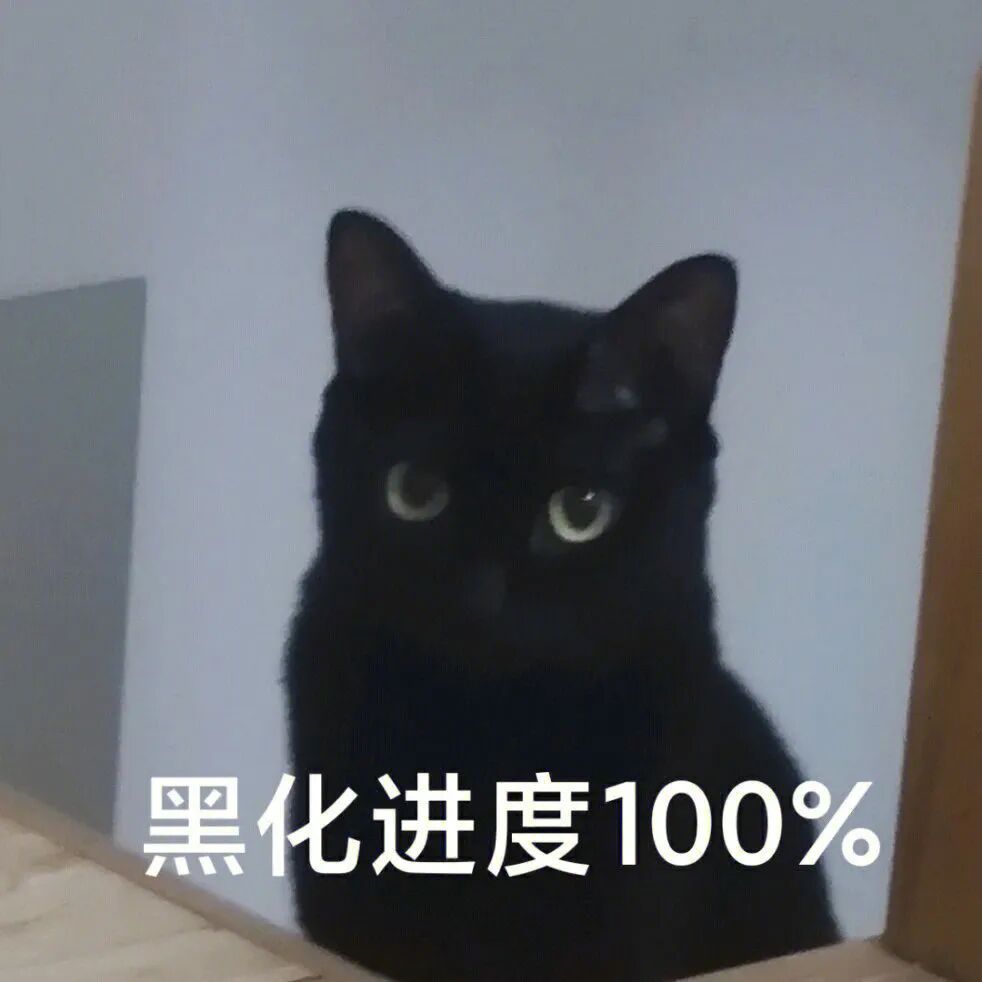 猫猫表情包