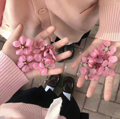 朋友圈背景图