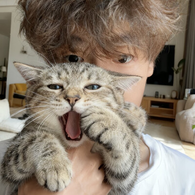 自截男头