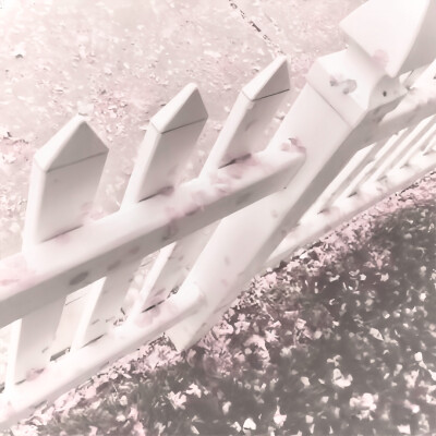 陈文嘉送的！！！超级好看，主播最近小小回归一下，会补赞补收藏的哈