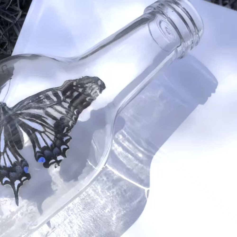 ＊Chandelier(水晶吊灯)''샹들리에(lustres)