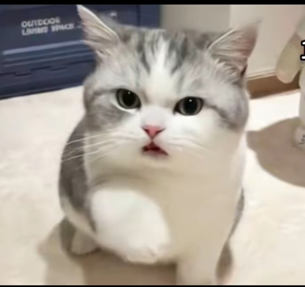 我那么大的饭盆呢？