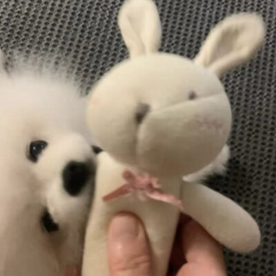 自截