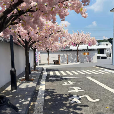 朋友圈背景图