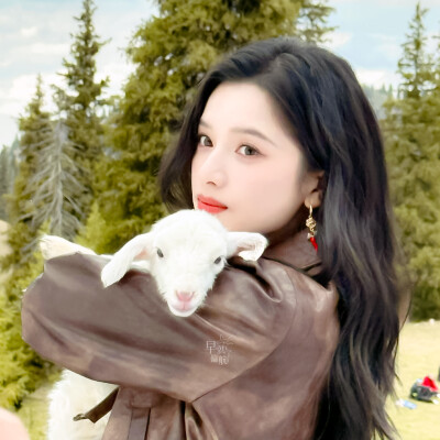 张婧仪