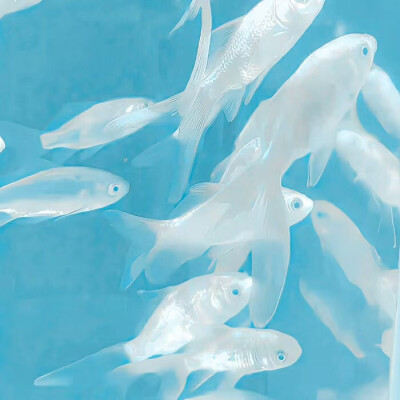 感谢树渡太宠我了 我又活过来了啊哈哈哈哈