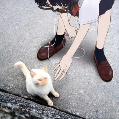 头像