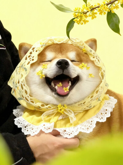 修勾