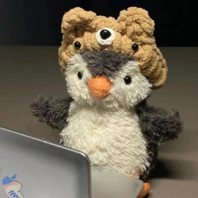 jellycat头像