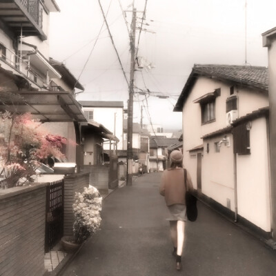 你是我第Ⅲ紀的琥珀淚