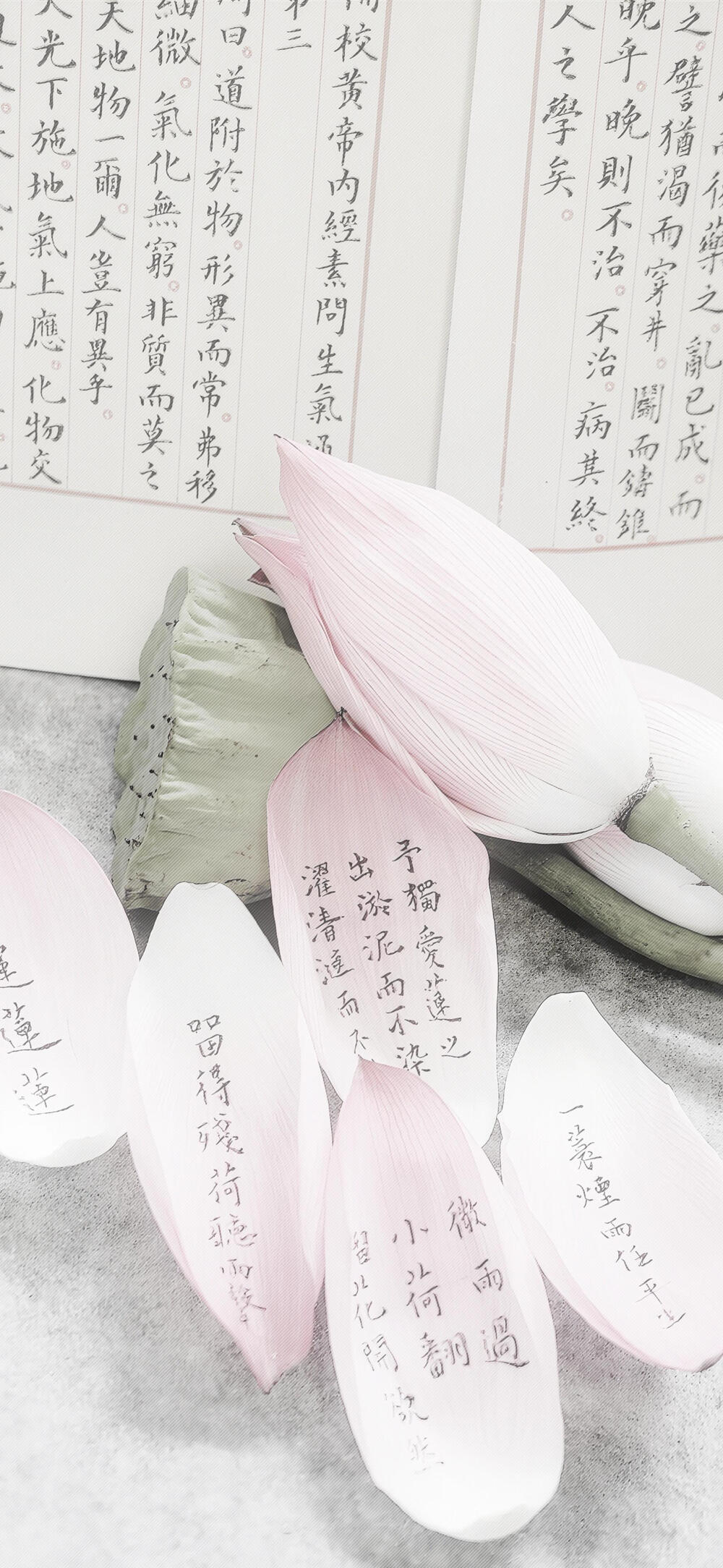壁纸