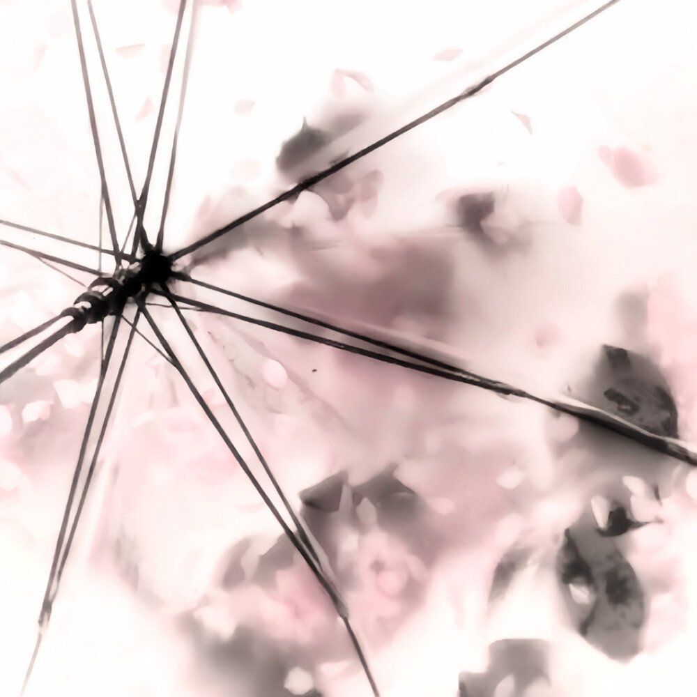 陈文嘉送的！！！超级好看，主播最近小小回归一下，会补赞补收藏的哈