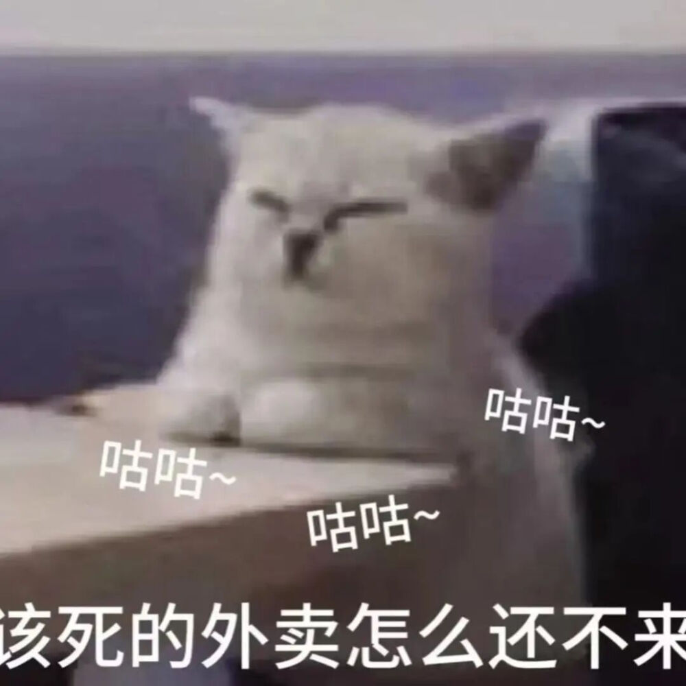 猫猫表情包