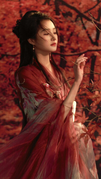 关晓彤