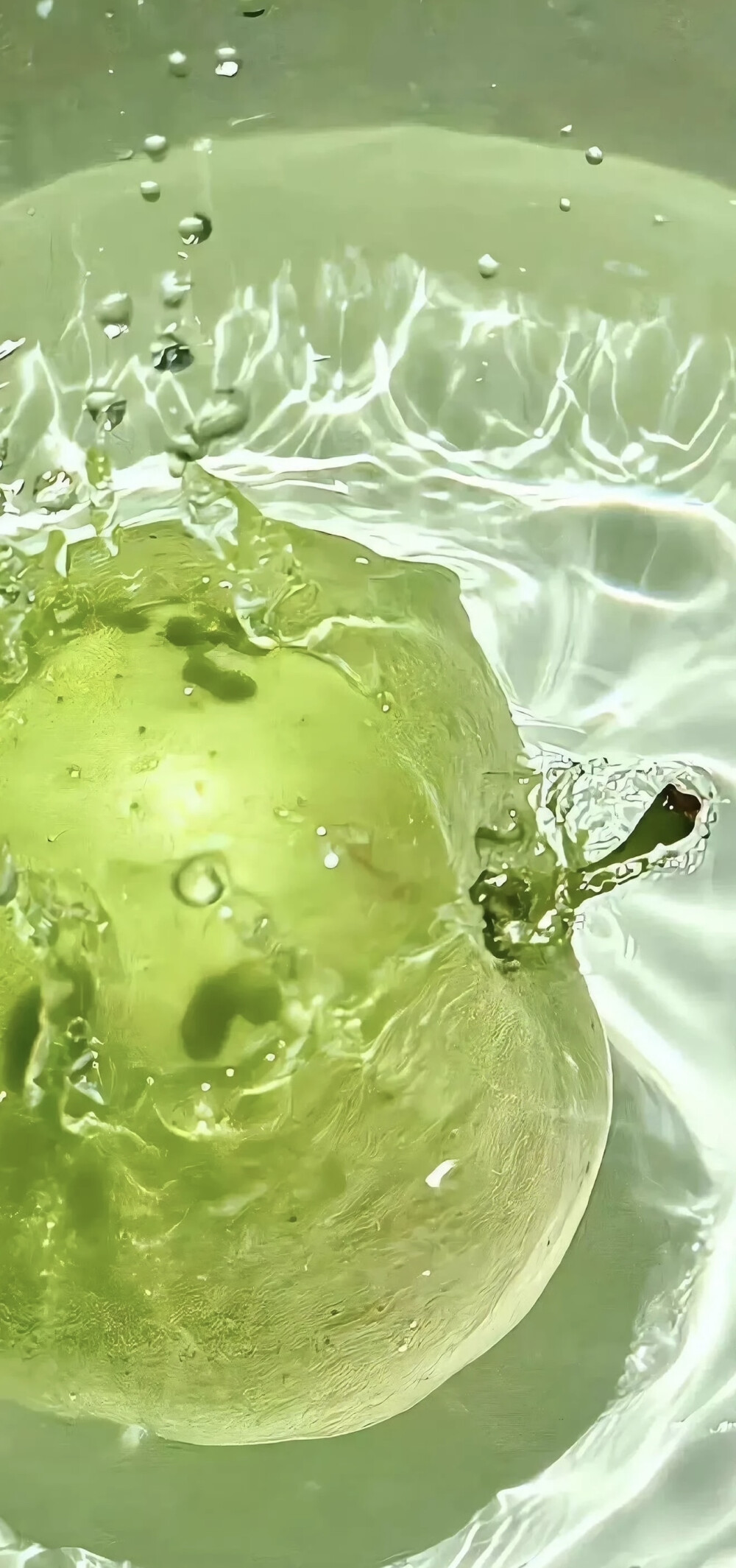 人间满目皆清欢，唯有时光不负秋。 