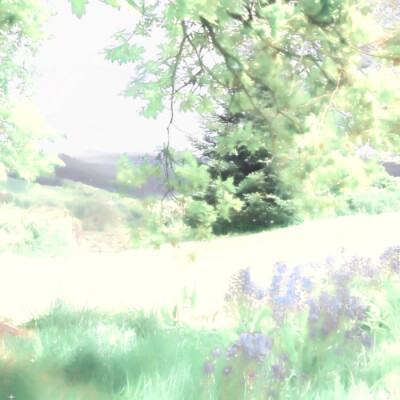 鹤男套图可二改6p 注明春山决