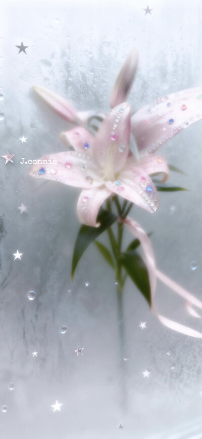 朋友圈封面 ♥