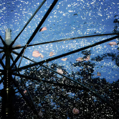 You want something. Go get it！
有了目标就要全力以赴。