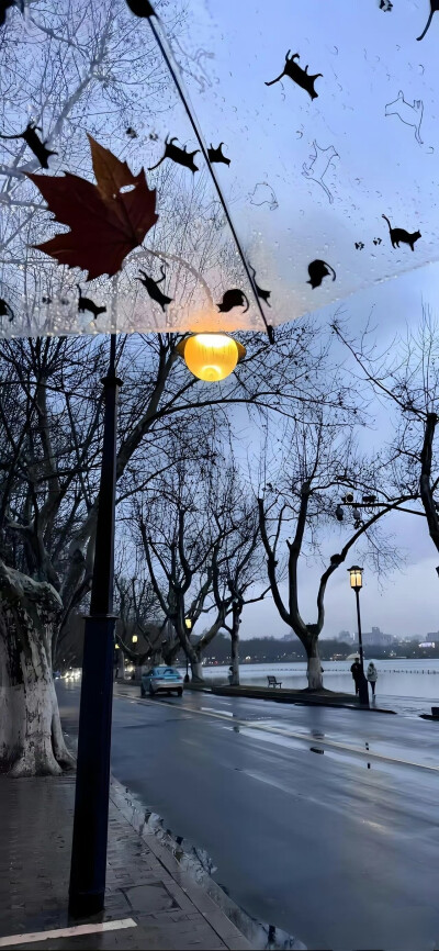 背景图